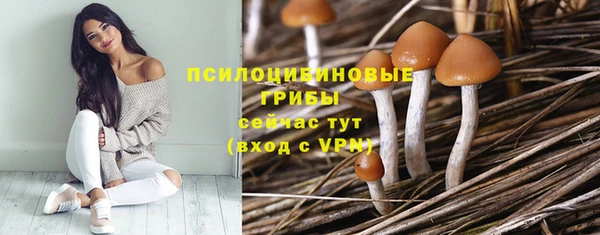 меф Ладушкин