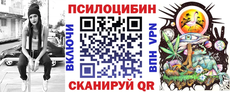 купить закладку  Вытегра  Псилоцибиновые грибы Cubensis 